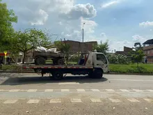 No se permitirá más la circulación de vehículos de tracción animal por las calles de Cali