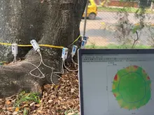 Cali, líder nacional en tecnologías para el cuidado del arbolado