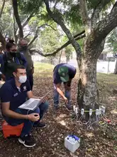 Cali, líder nacional en tecnologías para el cuidado del arbolado