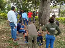 Cali, líder nacional en tecnologías para el cuidado del arbolado