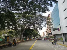 Boulevard del Río