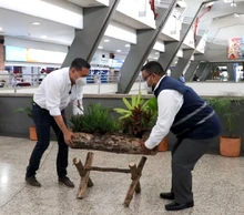 Mi Terminal Cali se suma a la iniciativa de hacer de Cali un jardín