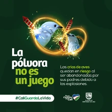 Celebrar con responsabilidad es el llamado del Dagma a los hinchas del América de Cali 