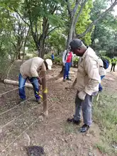 Alcaldía recuperó reserva forestal en el cerro Las Tres Cruces