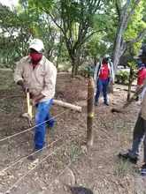 Alcaldía recuperó reserva forestal en el cerro Las Tres Cruces