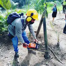 Alcaldía recuperó reserva forestal en el cerro Las Tres Cruces