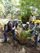 Alcaldía recuperó reserva forestal en el cerro Las Tres Cruces