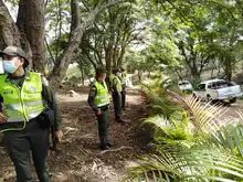 Alcaldía recuperó reserva forestal en el cerro Las Tres Cruces