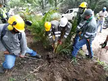Alcaldía recuperó reserva forestal en el cerro Las Tres Cruces