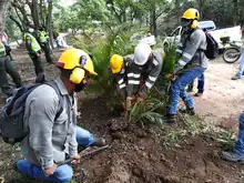 Alcaldía recuperó reserva forestal en el cerro Las Tres Cruces