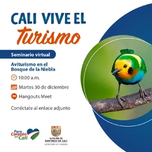 Aviturismo en el Bosque de Niebla de San Antonio