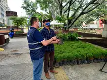 El corredor del río Cali reverdece y florece como un solo jardín