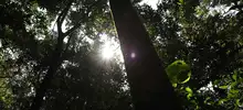 Cali tendrá uno de los santuarios naturales más importantes del mundo 