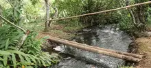 Cali tendrá uno de los santuarios naturales más importantes del mundo 