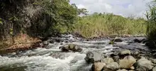 Cali tendrá uno de los santuarios naturales más importantes del mundo 