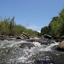 Cali tendrá uno de los santuarios naturales más importantes del mundo 