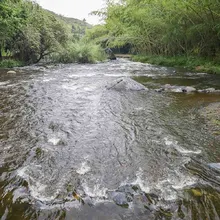 Ríos de Cali tuvieron un respiro durante el puente de Reyes