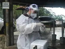 Pruebas covid-19 en zona ladera de Cali y corregimiento de Pance