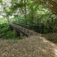 Dagma y CVC, en equipo para fortalecer dotación de la oferta ambiental de Cali