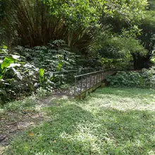 Dagma y CVC, en equipo para fortalecer dotación de la oferta ambiental de Cali
