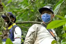 Autoridades Distritales anuncian medidas por presunta minería ilegal e invasiones en Pico de Águila -Pance