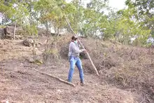 Graves devastaciones ambientales se encontraron durante visita a predios invadidos ilegalmente en Be