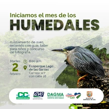 En febrero, el DAGMA tiene amplia programación en el Mes de los Humedales, para todos