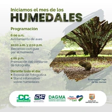En febrero, el DAGMA tiene amplia programación en el Mes de los Humedales, para todos