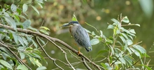 Ecoparque de las Garzas, un mundo abierto para grandes y chicos