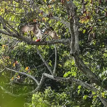 Ecoparque de las Garzas, un mundo abierto para grandes y chicos
