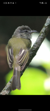 Ecoparque de las Garzas, un mundo abierto para grandes y chicos
