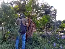 Recuperación del Parque de El Ingenio adelantan la comunidad, operadores de aseo y el Dagma