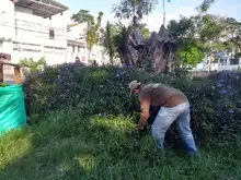 Recuperación del Parque de El Ingenio adelantan la comunidad, operadores de aseo y el Dagma