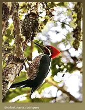 Concurso de fotografía promueve el amor por la naturaleza