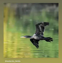Concurso de fotografía promueve el amor por la naturaleza