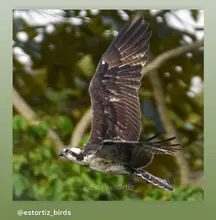 Concurso de fotografía promueve el amor por la naturaleza