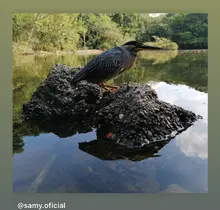 Concurso de fotografía promueve el amor por la naturaleza