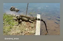 Concurso de fotografía promueve el amor por la naturaleza