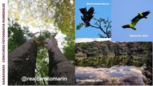 Concurso de fotografía promueve el amor por la naturaleza