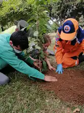 Jornada de embellecimiento ambiental en el Parque de El Ingenio cumplió el Dagma