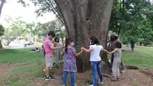 Visitantes del parque la Babilla disfrutan con acciones para el cuidado  y conservación de los humedales