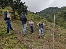 Infraestructura monitorea la compensación arbórea de las ‘Obras del Sur’