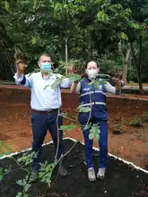 Más corredores ambientales para la caleñidad