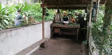 De puro corazón Cali celebra el Día Internacional del Control Biológico