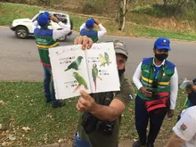 Con avistamiento de aves, habitantes de Meléndez se apropian de su territorio