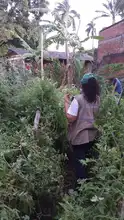 Huerta en casa, una alternativa de agricultura Urbana