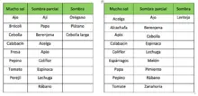 Huerta en casa, una alternativa de agricultura Urbana