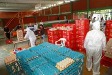 Más de 57 000 estudiantes recibieron su alimentación escolar 