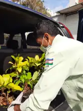 Vivero Distrital siembra vida con puro corazón
