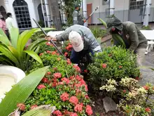 Vivero Distrital siembra vida con puro corazón